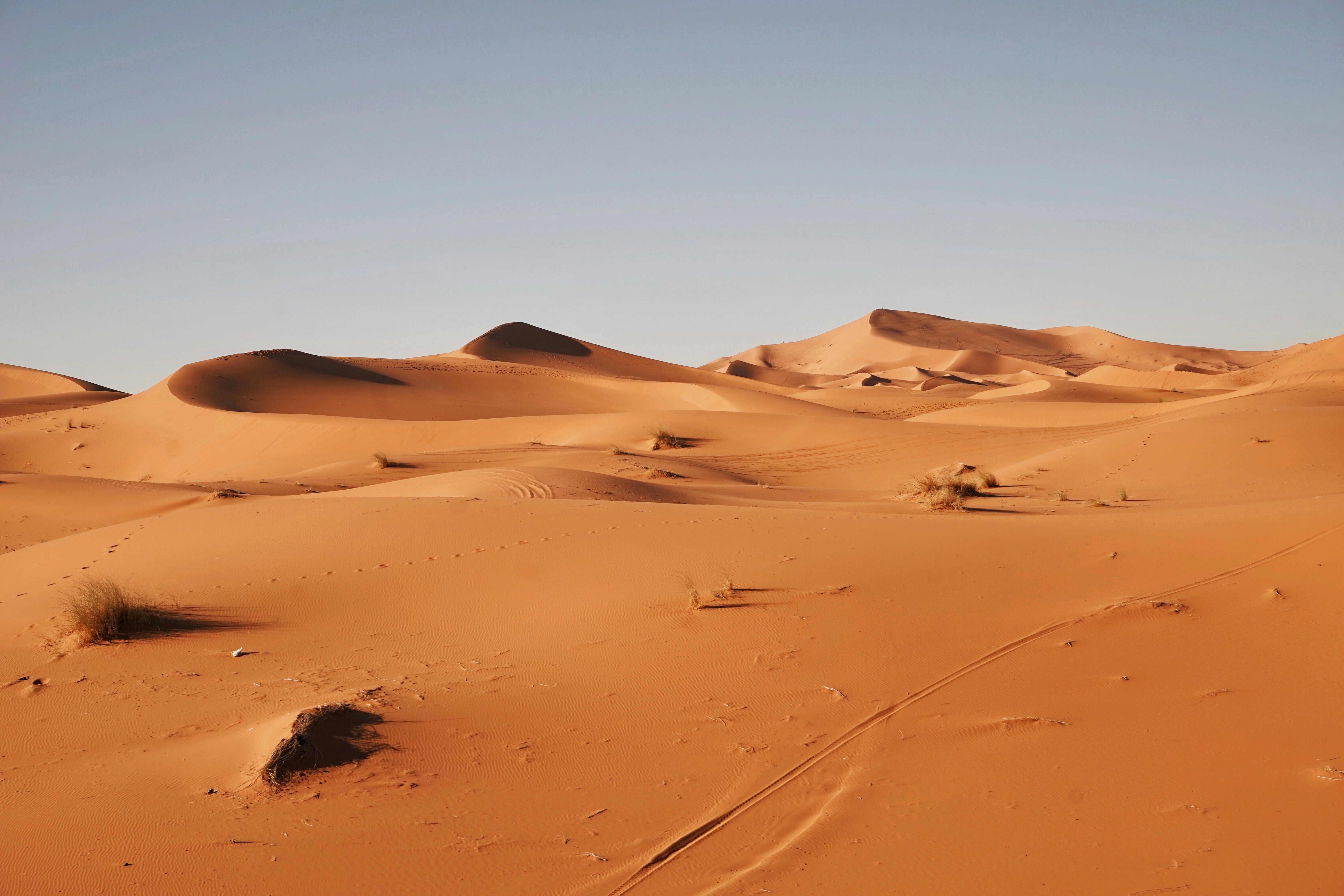 Sahara Desert - Marathon des Sables